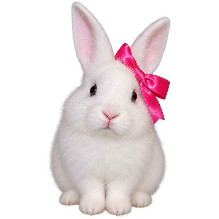 A real fluffy white bunny wearing a glossy pink bow